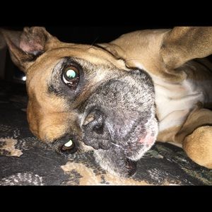 Meet your Posher, Kyle